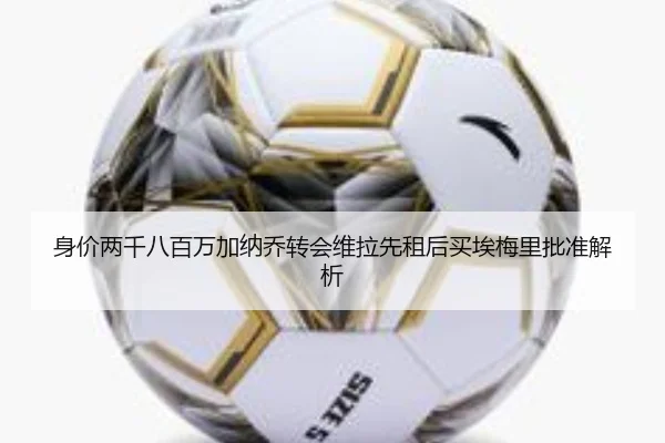 身价两千八百万加纳乔转会维拉先租后买埃梅里批准解析